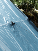 Fantail 270 Awning Waterproof Shade Wall (Gen 2 Awnings)