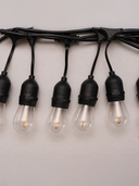 12V Outdoor Festoon Lights
